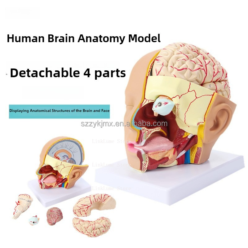 Medical Science Resource Human - огляд і ціна Medical Lab And Science